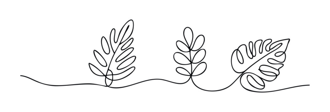 Simple line drawing of three distinct leaves, connected by a single flowing line, perfect for nature themes and organic branding, offering versatile use for websites and print.