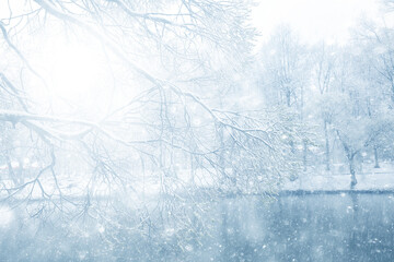 Fototapeta premium Snowy winter background in the park, blurred abstract seasonal backdrop, snowflake texture, light landscape background