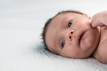 Newborn baby receiving gentle cheek touch