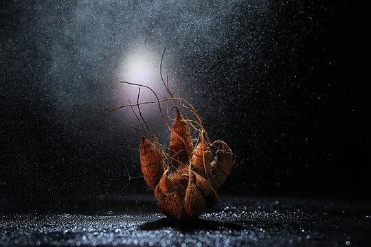 Carrot on a black background, art photo, scary Halloween card