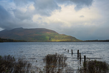 Atmospheric view of Muckross Lake shoreline with decaying posts, wind-rippled water, and autumn mountains, Ireland