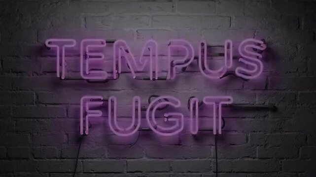 Neon sign of "tempus fugit".