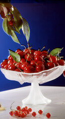 Les cerises d'&eacute;t&eacute;