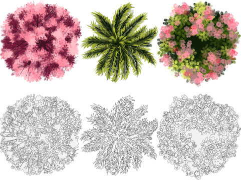 trees and shrubs, designed for architectural and landscape plan drafting. The set features three color illustrations (representing a flowering tree, a palm, and a mixed shrub) and their corresponding 