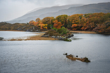 Autumn trees in Kerry blaze red, orange, and yellow along a tranquil lough with misty mountains under cloudy sky.
