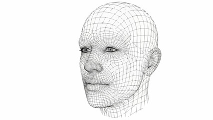 Wireframe 3D Model of a Human Head Representing Digital Identity.
