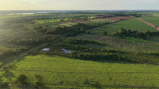 Aerial view of green fields and trees with a distant body of water seen