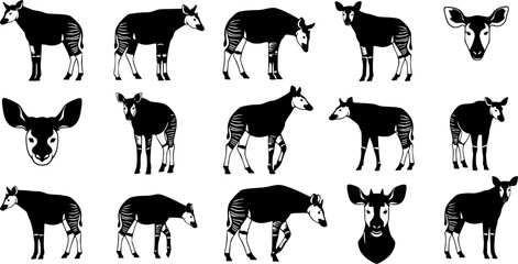 Okapi animal silhouettes, Okapi, Okapi silhouettes, Okapi animal, Okapi clipart, Okapi animal vector set