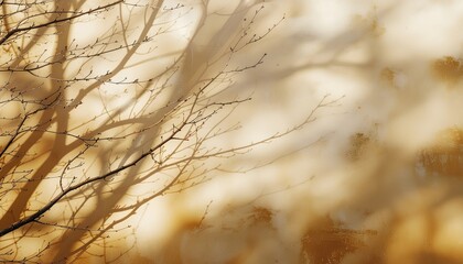 Dreamy branches casting shadows in warm golden light evoke a sense of peace and tranquility, perfect for nature-inspired designs and serene backgrounds
