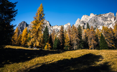 Autumn in the Dolomites. Explosion of colors towards sunset. Enrosadira and larch forests