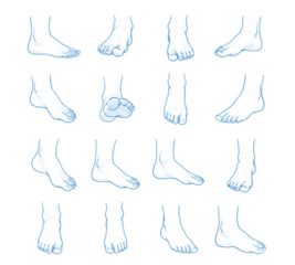 Foot Anatomy Studies Artistic Renderings in Blue Outlines Array of Different Poses and Angles of the Human Feet