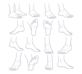 Foot anatomy sketches showcase diverse poses, perfect for medical illustrations, educational materials, and artistic references, capturing human movement nuances.