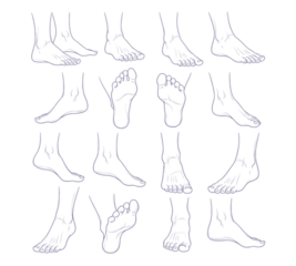 Foot anatomy sketches showcase diverse poses, perfect for medical illustrations, educational materials, and artistic references, capturing human movement nuances.