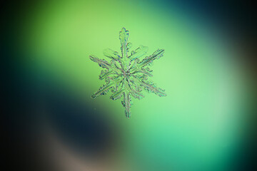 photo snowflake macro water crystals, winter symbol for design