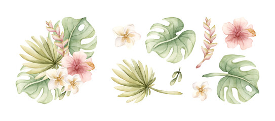Tropical Hibiscus Plumeria Heliconia Monstera leaves. Exotic African jungle pink flowers plants. Watercolor hand painted summer floral isolated illustration on white background cute kids nursery baby © Leyla