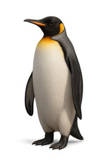 Fototapeta premium Emperor penguin standing with transparent background