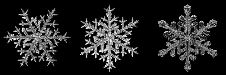 set of snowflakes on a black background, real photos natural crystals macro photo isolated on a dark background