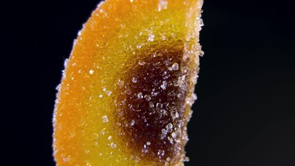 Dried Apricot or Peach flavored Gummy Candy rotating. Macro view of orange and brown marmalade with sugar crystals. Cola flavor concept. - Powered by Adobe