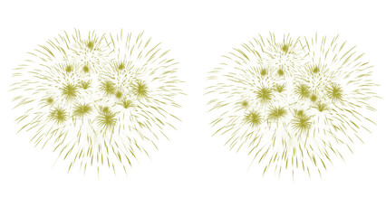 Golden fireworks sparkle with elegance, perfect for festive celebration designs or adding a touch of magic to invitations and event promotions
