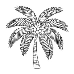 A stylized black and white drawing of a coconut palm tree with its fronds spread wide.