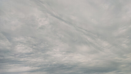 Overcast sky background with dramatic gray and white storm clouds.
