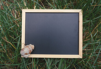 Snail on a wooden frame chalkboard with grass background and natural outdoor setting