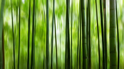Bamboo forest with stalks clacking together in wind, natural daylight filtering through leaves