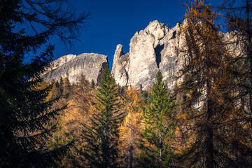 Autumn in the Dolomites. Explosion of colors towards sunset. Enrosadira and larch forests