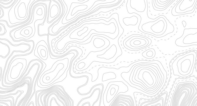 Topography background. Vector banner. Topography background. Vector geographic contour map. Background of the topographic map. Topographic map lines, contour background.