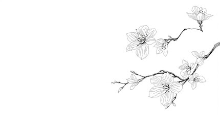 Fototapeta premium Elegant Cherry Blossom Branch Drawing. japanese patterns 