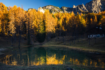 Autumn in the Dolomites. Explosion of colors towards sunset. Enrosadira and larch forests