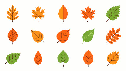 Fototapeta premium A vibrant collection of stylized autumn and green leaves, featuring diverse shapes and colors, perfect for seasonal designs and nature-themed projects.