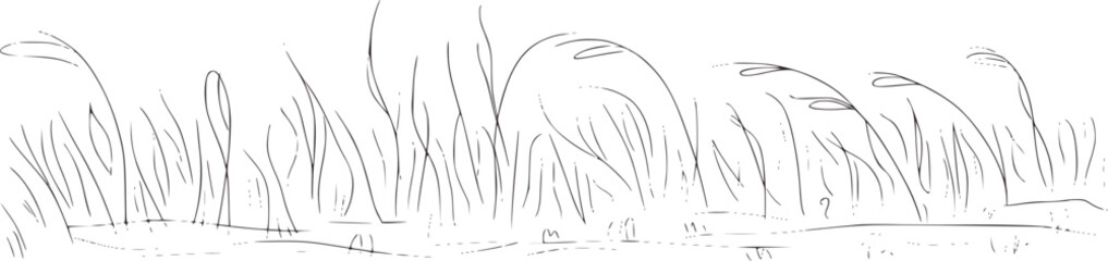 Black and white line drawing of windblown grass nature
