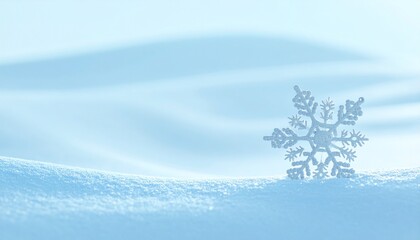 淡い青の冬らしい背景に、ひとつだけ配置された雪の結晶オーナメントが静かな印象を与える映像です。
柔らかい光が広いコピー空間を包み、冬イベントの告知・季節のメッセージ・商品紹介など幅広い用途に適応します。