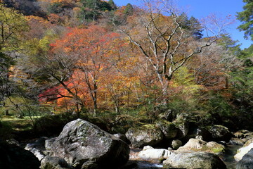 小田深山渓谷　色とりどりの秋　（愛媛県　内子町）