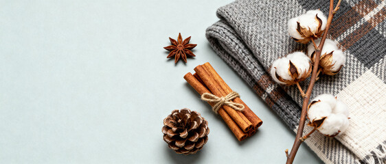 Fototapeta premium Soft woolen plaid, cotton branches, cinnamon sticks, pine cone and anise on a light background for cozy winter or autumn arrangement