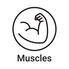 Muscles icon. Vector line symbol for a website, product card, presentation and mobile app, packaging or instruction. Editable outline sign