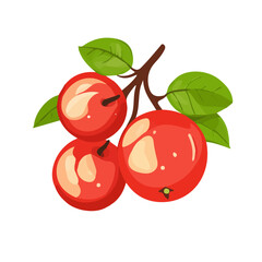 An Imaginary 2D flat icon rose apples bunch, modern element in vector and EPS format_clean vector_isolated on a white background, An Icon clipart set
