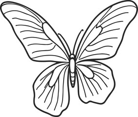 Butterfly Vector Line Art Drawing. Simple Butterfly Line Drawing. Minimalist Contour Illustration. 
