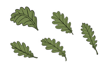 oak leaf silhouettes on the white background, vector, icon 