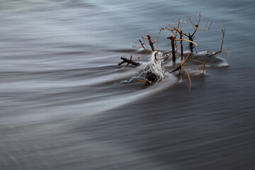 Sea water flowing through twigs and plastic string