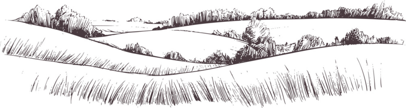 Black and white pencil sketch of rolling hills and grass
