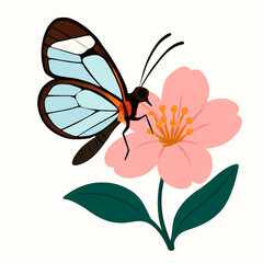 Minimalist and vibrant vector collection of different butterfly species sitting on spring and summer flowers. Flat design for digital projects, greeting cards, and nature-themed graphics.
