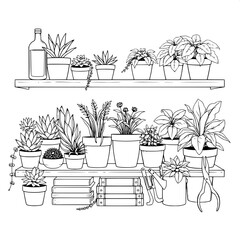 A meticulously drawn line-art illustration of a refined indoor plant display shelf adorned with an assortment of succulents in small terracotta pots, lush leafy plants in wooden planters, a clear glas