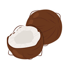 Whole coconut with half isolated on white background. Summer fruits. Coconut tropical closeup illustration.