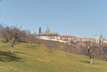 View of Prague from the hill in early Spring.