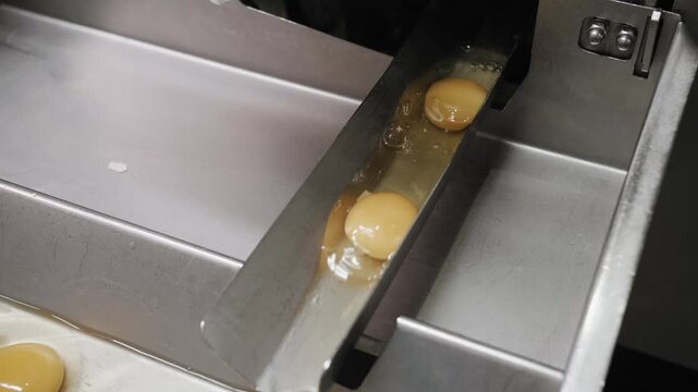 movement of egg yolks and whites in the trough