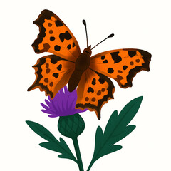 Minimalist and vibrant vector collection of different butterfly species sitting on spring and summer flowers. Flat design for digital projects, greeting cards, and nature-themed graphics.