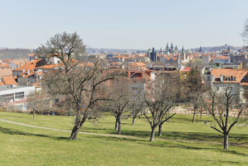 View of Prague from the hill in early Spring.