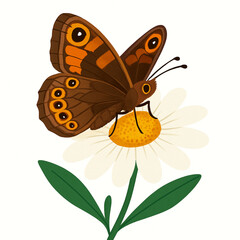 Minimalist and vibrant vector collection of different butterfly species sitting on spring and summer flowers. Flat design for digital projects, greeting cards, and nature-themed graphics.